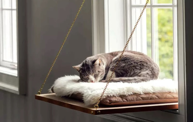 DIY cat window perch