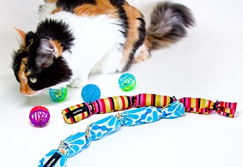 DIY catnip toy