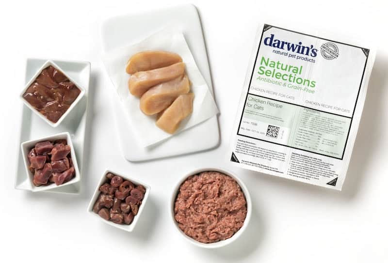 12 Best Cat Foods in 2024 Vet Approved Reviews & Guide Catster