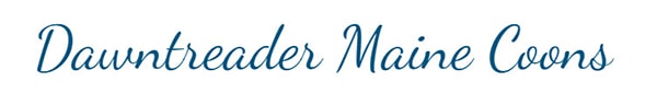 Dawntreader Maine Coons logo