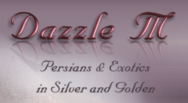 Dazzle-M Persians and Exotics logo