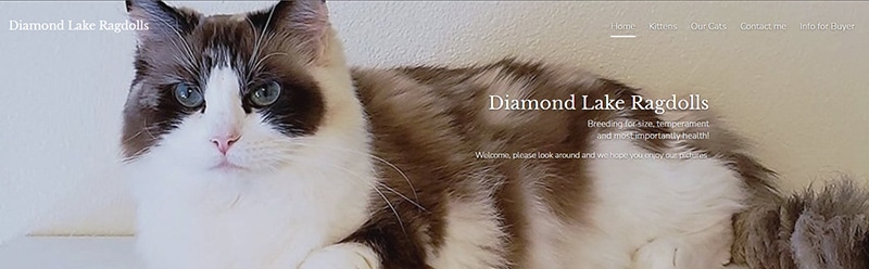 Diamond Lake Ragdolls logo