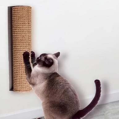 Diversity world Wall-Mounted Quick Cat Scratching Post
