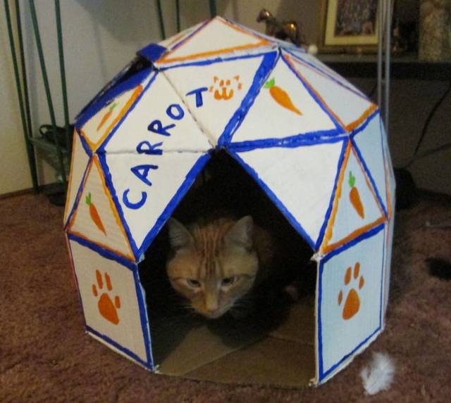 Diy Cat Cave From Cardboard