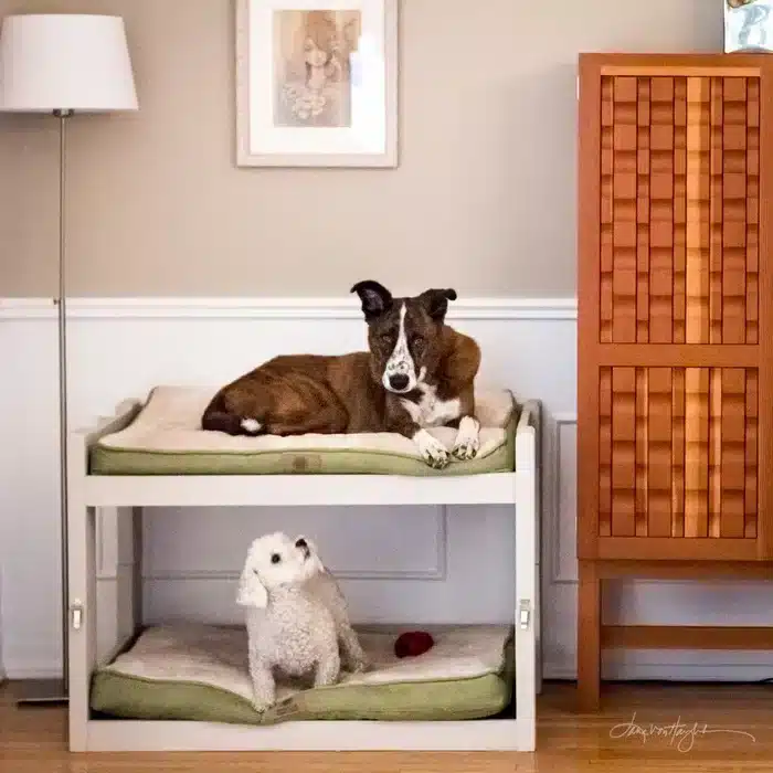 Doggy Bunk Beds by Instructables