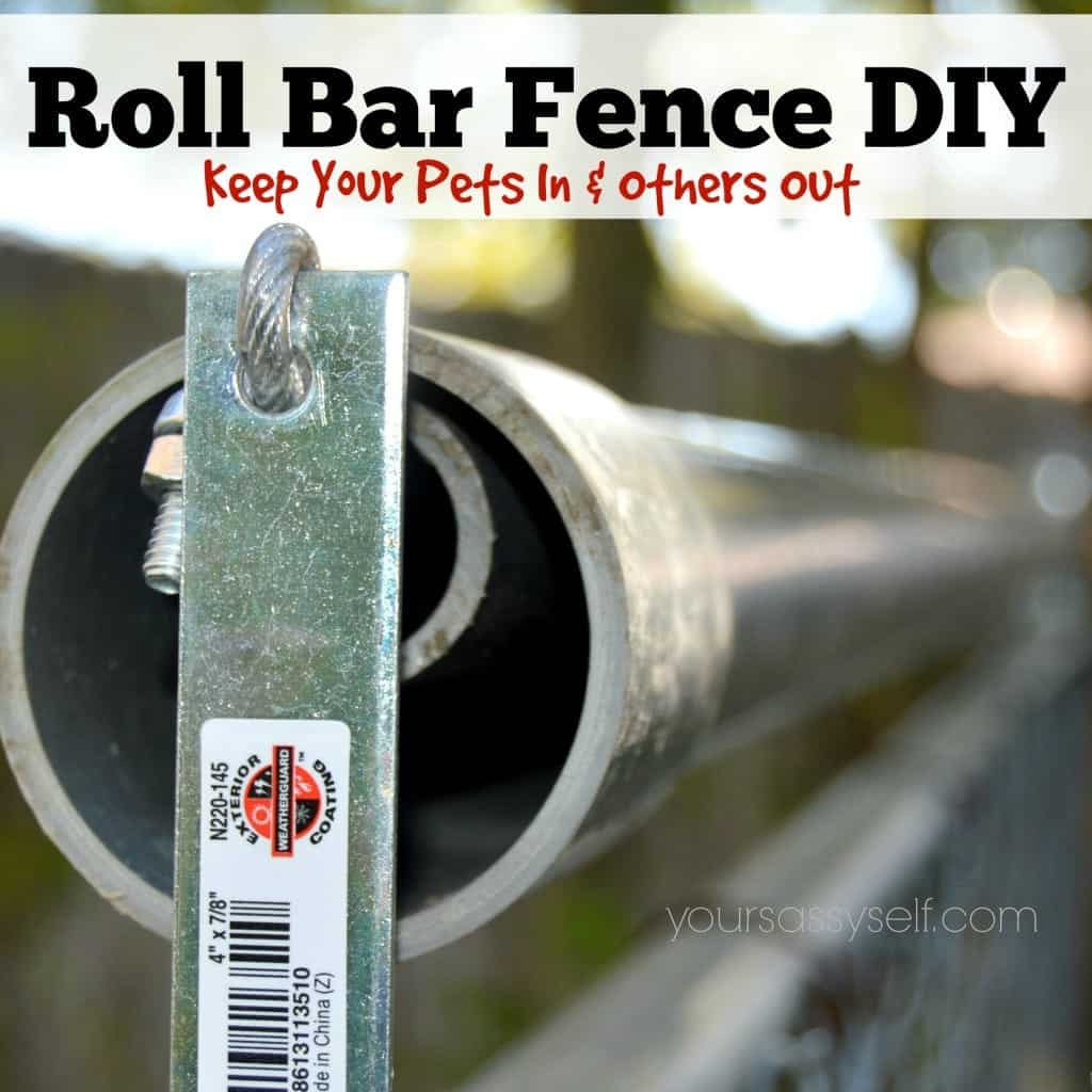 Double Layer Roll Bar Cat Fence by Your Sassy Self