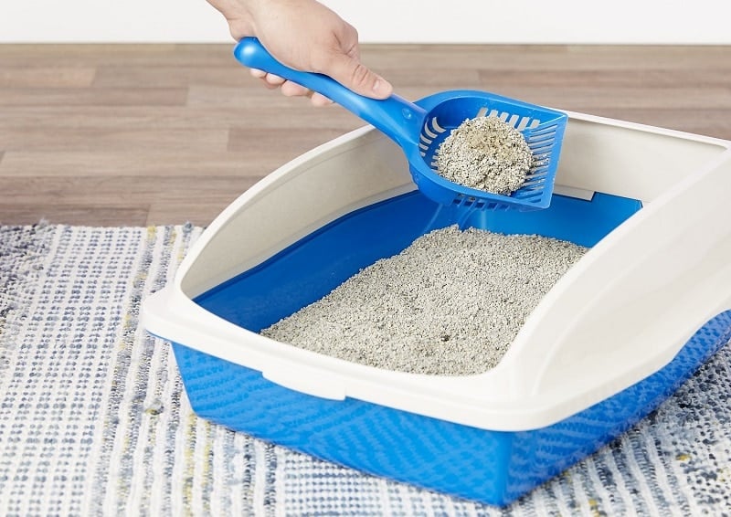 Dr. Elsey's Clumping Clay Cat Litter