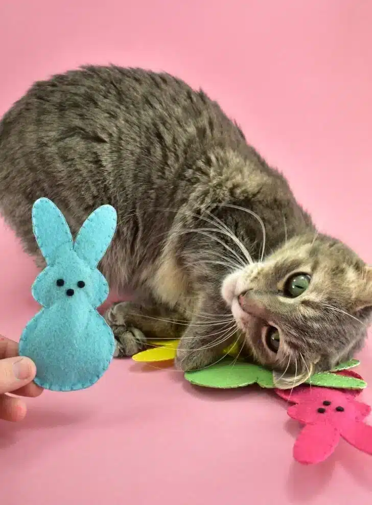 Dream a Little Bigger Easter Bunny Peep Toys by dream a little bigger