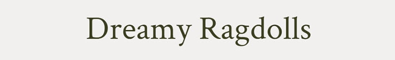 Dreamy Ragdolls logo