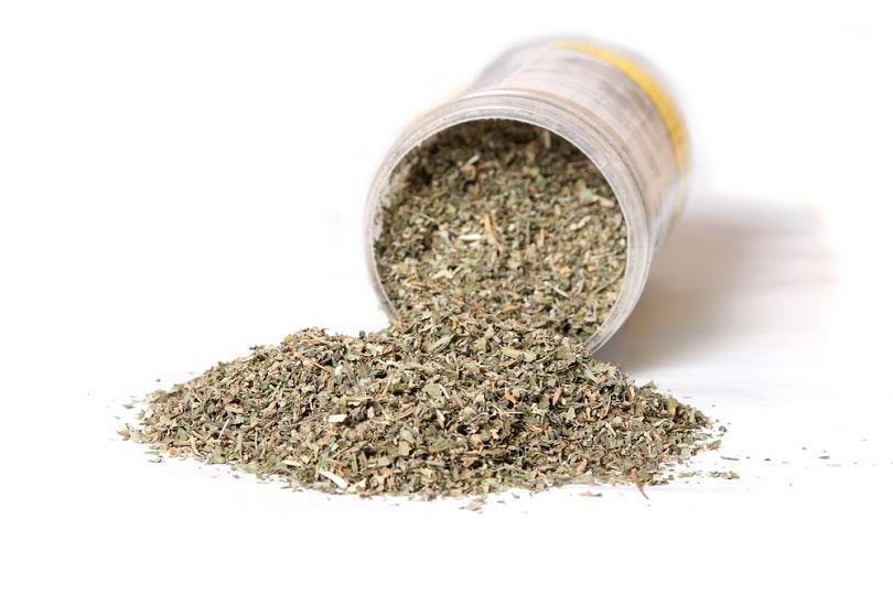 Dried green catnip for cats spilling from container