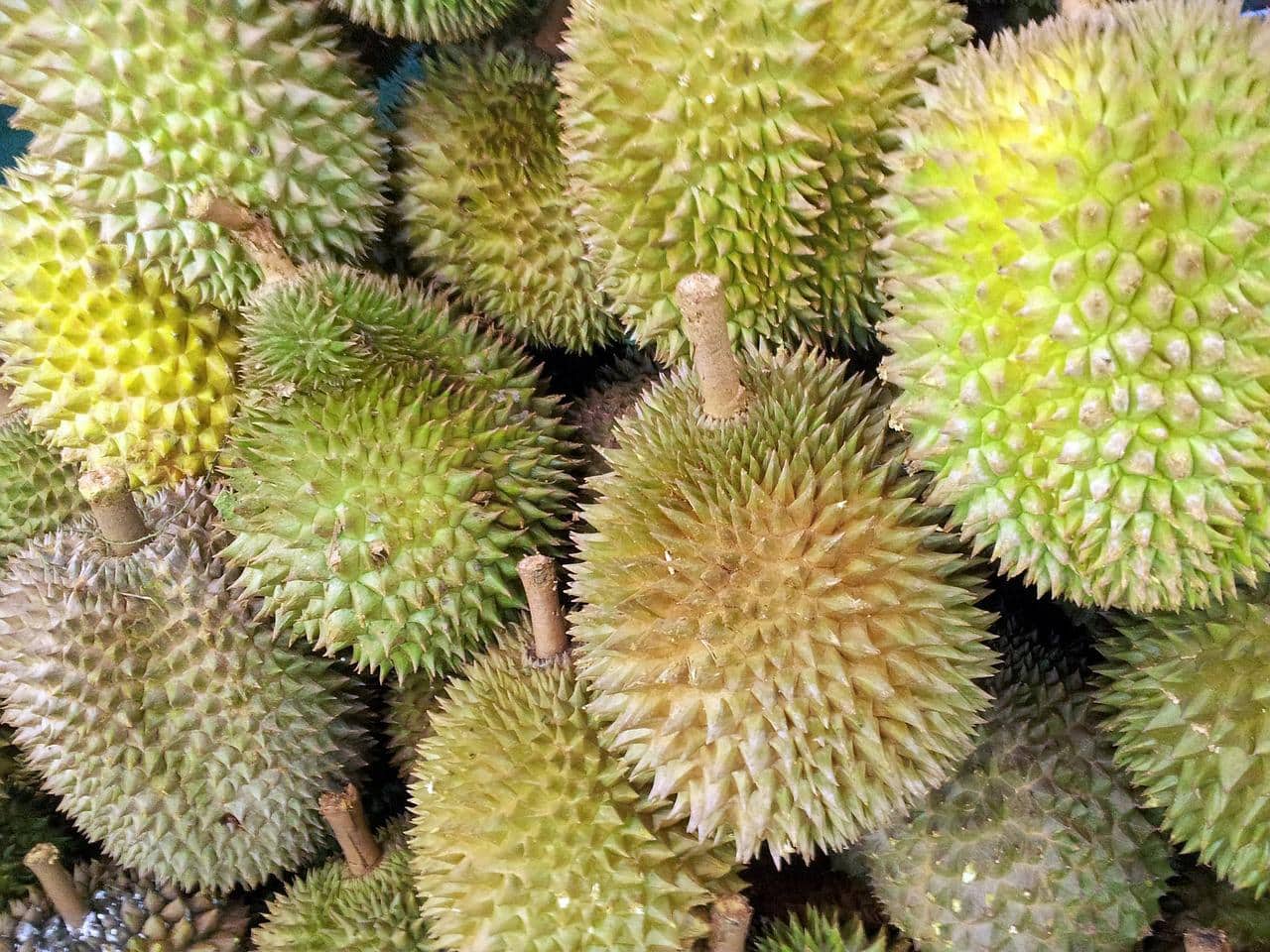 Durian