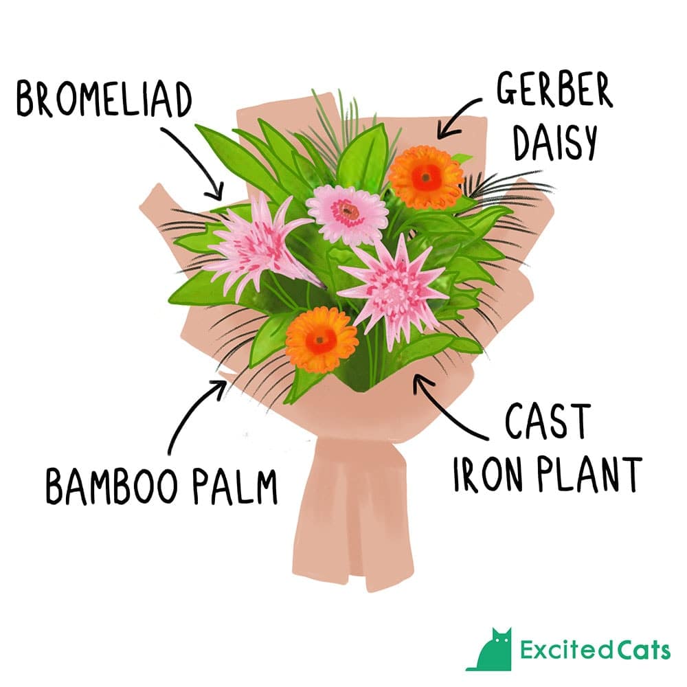 5 CatSafe Bouquets CatFriendly Flower Arrangements (With Images