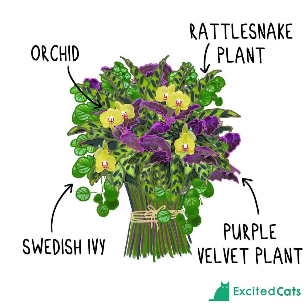 5 CatSafe Bouquets CatFriendly Flower Arrangements (With Images