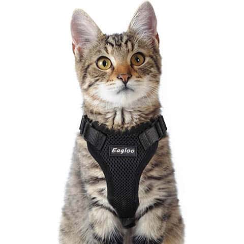 Eagloo Cat Harness