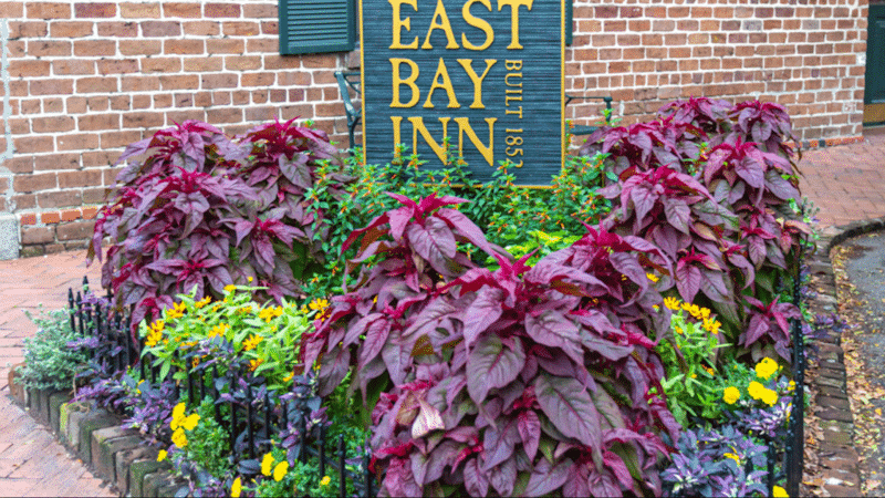 East Bay Inn Savannah