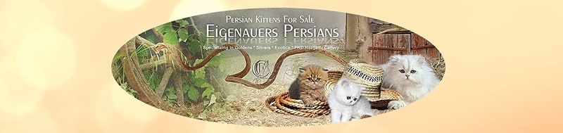 Eigenauers Persians logo