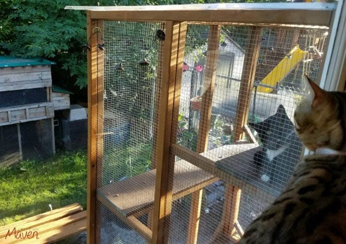 Everything_You_Need_For_A_Catio
