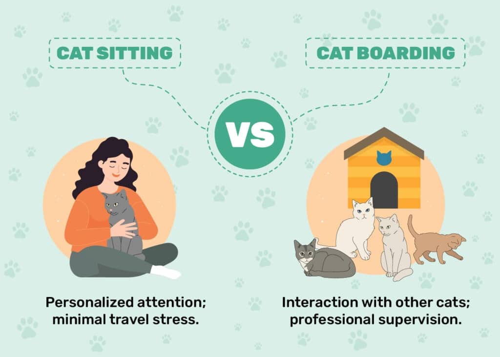 Cat sitting vs cat boarding comparison