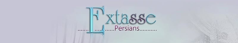 Extasse Persians logo