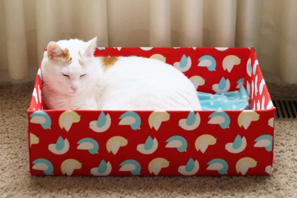 Fabric Covered Box Bed by Purrfect Kity