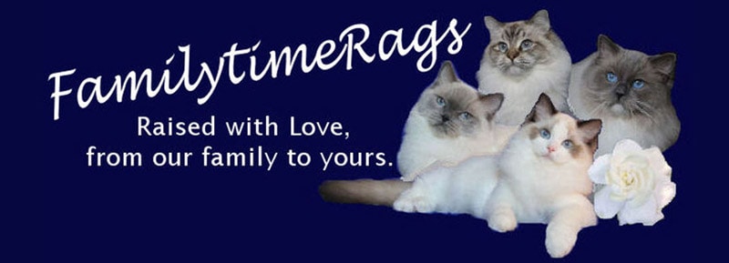 Family Time Rags logo