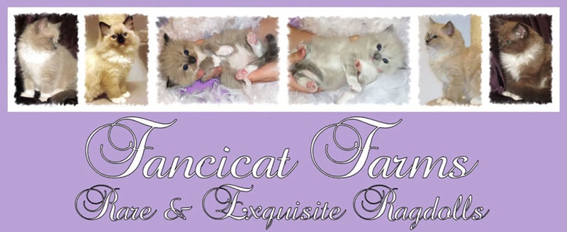 Fancicat Farms logo