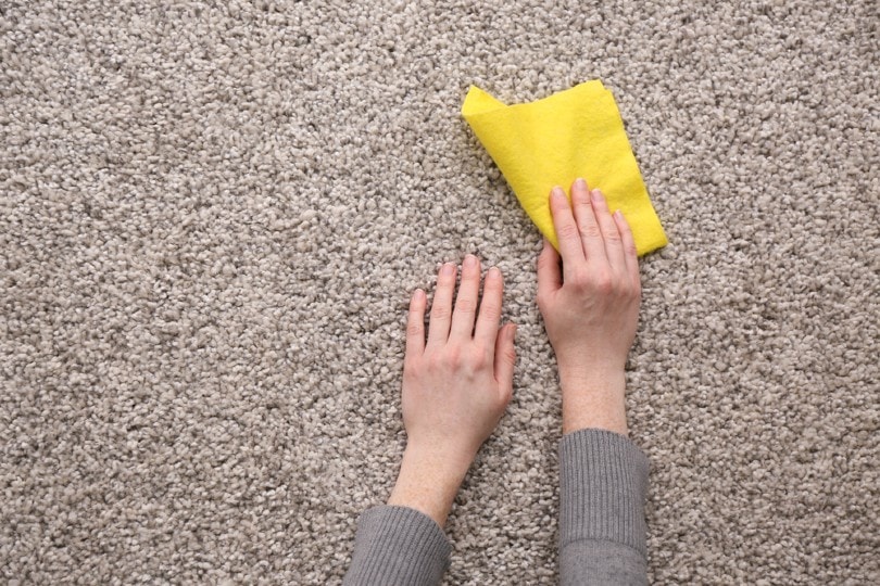 Female hands with rag on carpet