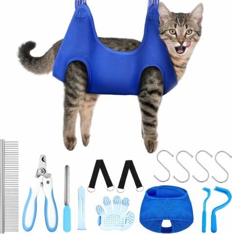 The Best Cat Harnesses of 2023