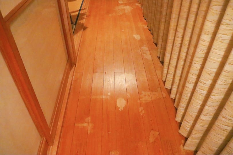 Flooring with stains due to pet urine