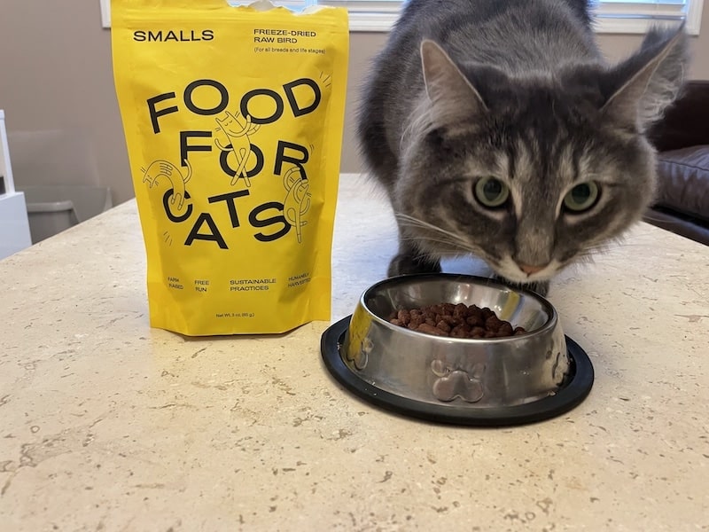 Smalls Cat Food Review of 2024 Pros, Cons & Verdict Catster