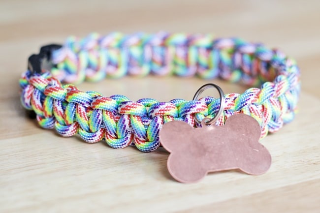 Friendship Bracelet Collar By Hands Occupied 