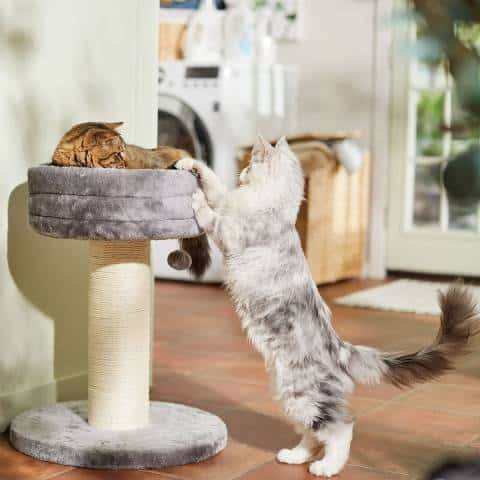 Frisco 24.8-Inch Heavy Duty Faux Fur Cat Tree