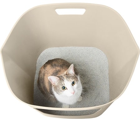 Frisco Leaf High-Sided Cat Litter Box