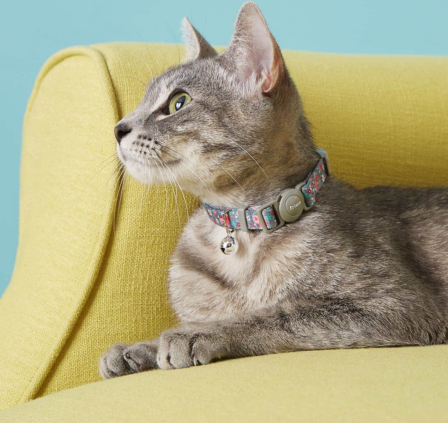 Frisco Rose Polyester Breakaway Cat Collar with Bell