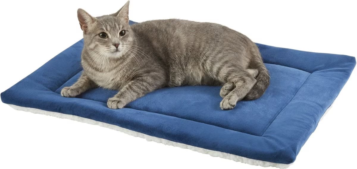 Frisco Self-Warming Pillow Rectangular Pet Bed (1)