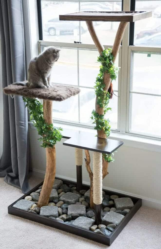 Full Cat Tree by Brittany Goldwyn