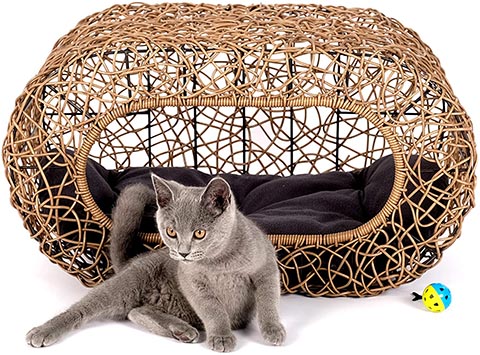 Fun Stackable Wicker Cat Bed