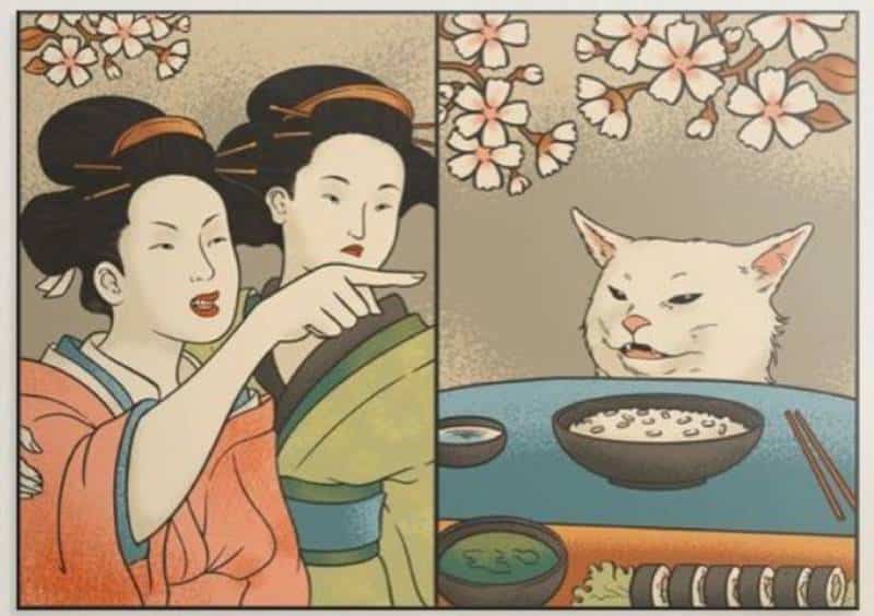 Geisha Yelling at Cat