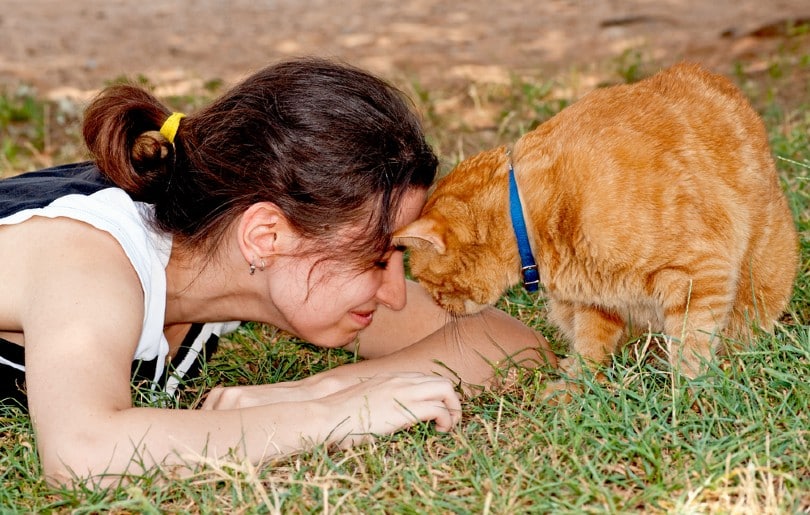 Girl butting heads with her ginger cat