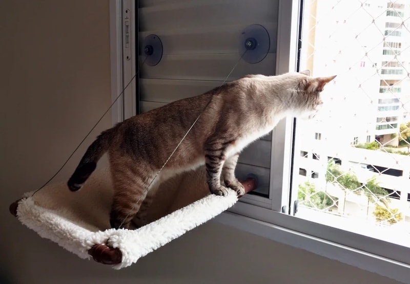 Glass mounted hanging cat bed DIY plan