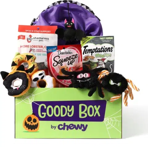 Goody Box Halloween Cat Toys & Treats