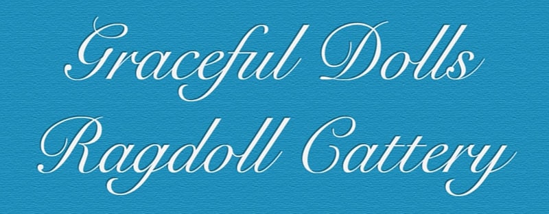 Graceful Dolls Ragdoll Cattery logo