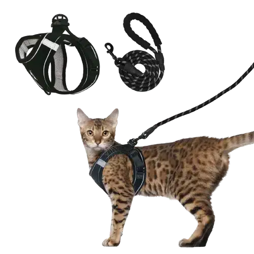 hepper harness and leash set