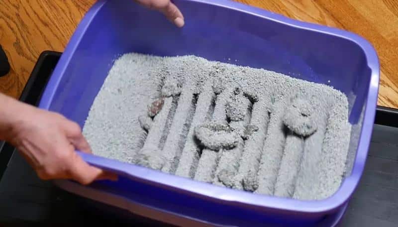 HOW TO MAKE A SELF-SIFTING KITTY LITTER BOX (1)