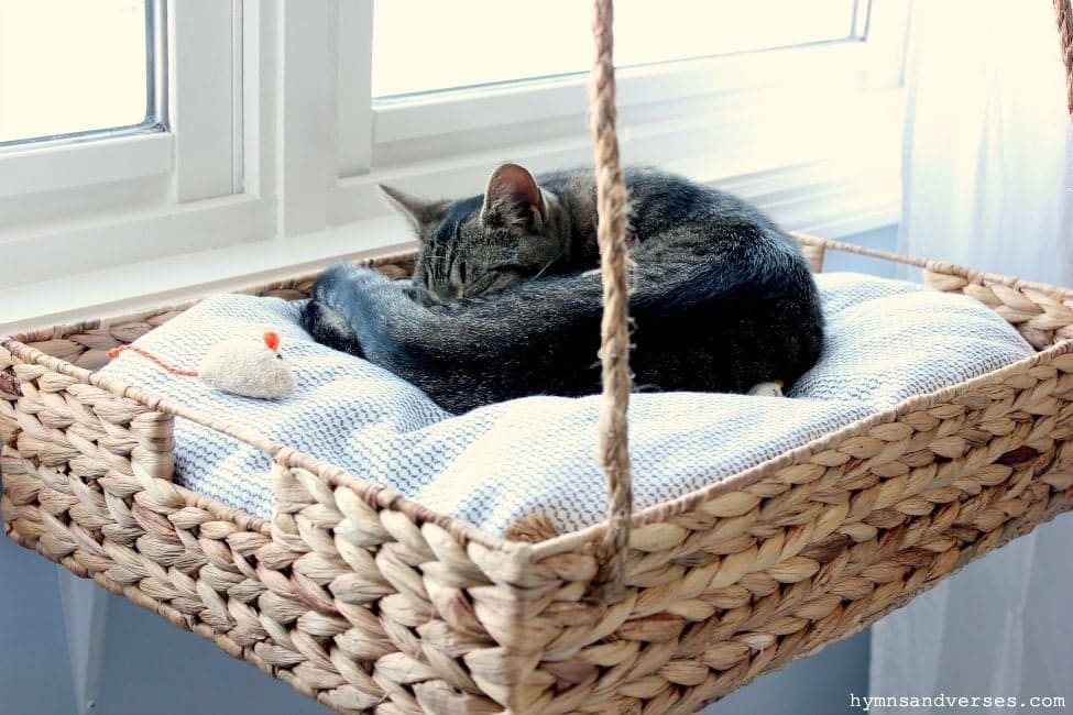 Hanging Cat Bed by Hymns and Verses