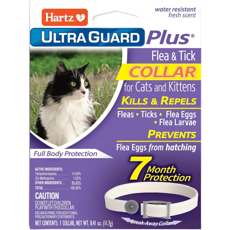 10 Best Flea Collars for Cats in 2024 Reviews & Top Picks Catster