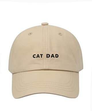 Hatphile 6 Panel Embroidery Dad Hat
