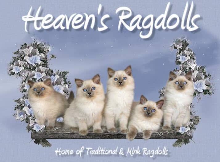 Heaven’s Ragdolls logo