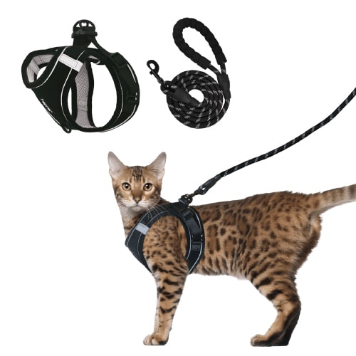 Hepper Harness and Leash Set