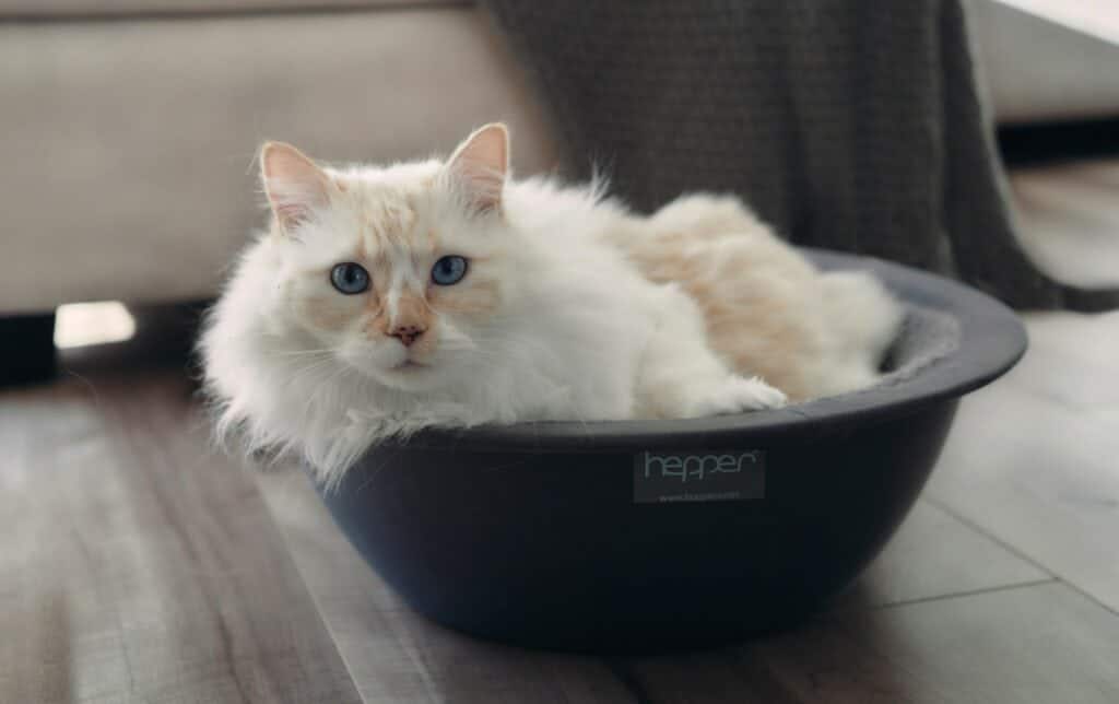 Hepper Self Warming Nest Cat bed